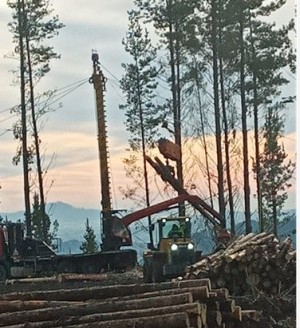 Carro de Madereo con Garra